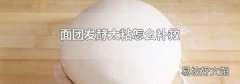 面团发酵太粘怎么补救