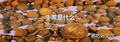 牛黄是什么