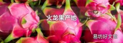 火龙果产地