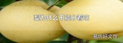 梨为什么不能分着吃