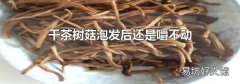 干茶树菇泡发后还是嚼不动