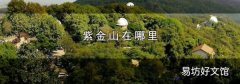 紫金山在哪里