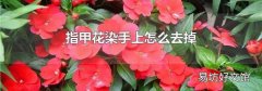 指甲花染手上怎么去掉