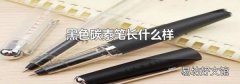 黑色碳素笔长什么样