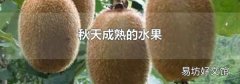 秋天成熟的水果