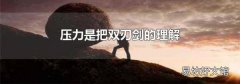 压力是把双刃剑的理解