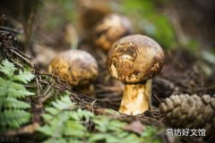 昆明有哪些好吃的 這幾種錯過了你就后悔了