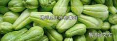 佛手瓜生吃有毒嗎