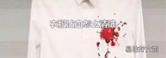 衣服沾血怎么清洗