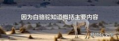 因为白骆驼知道概括主要内容