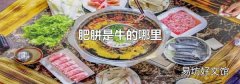 肥胼是牛的哪里