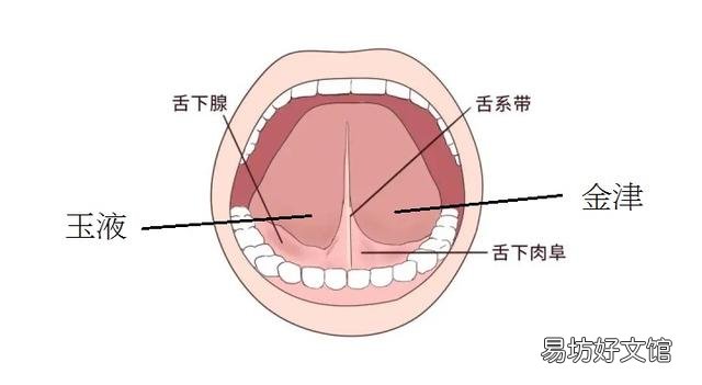 舌头上有裂纹是什么病症征兆 舌头裂口子是怎么回事