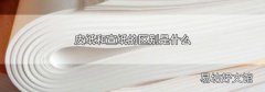 皮纸和宣纸的区别是什么
