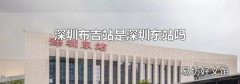 深圳布吉站是深圳东站吗