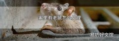 家里有老鼠怎么处理