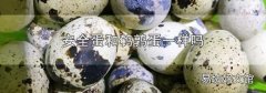 安全蛋和鹌鹑蛋一样吗