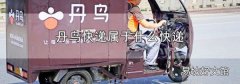 丹鸟快递属于什么快递