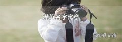 浠苒名字寓意