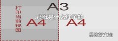 a3纸是什么样子的