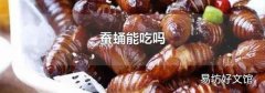 蚕蛹能吃吗
