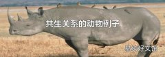 共生关系的动物例子