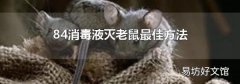 84消毒液滅老鼠最佳方法