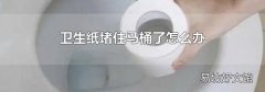 衛(wèi)生紙堵住馬桶了怎么辦