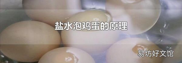 鹽水泡雞蛋的原理