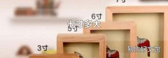 七寸多大