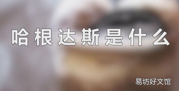 哈根达斯是什么