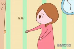 尿頻是什么原因?qū)е碌?女性總是尿頻的原因是什么呢
