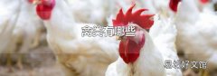 禽类有哪些