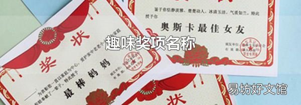 趣味奖项名称