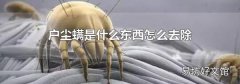 户尘螨是什么东西怎么去除