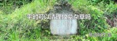 平时可以清理坟墓杂草吗