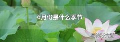 6月份是什么季节