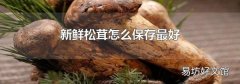 新鲜松茸怎么保存最好