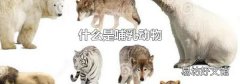 什么是哺乳动物
