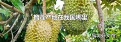 榴莲产地在我国哪里