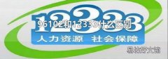 96102和12333什么区别