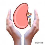侄子得了尿毒症 哥哥和嫂子跪下求我捐肾