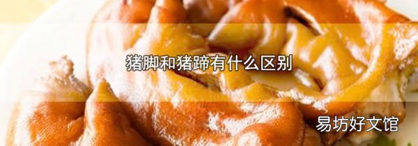 猪脚和猪蹄有什么区别
