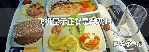 飞机显示正餐是免费吗