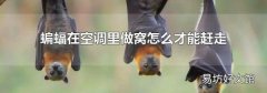 蝙蝠在空调里做窝怎么才能赶走