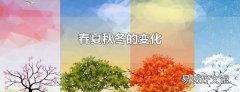 春夏秋冬的变化