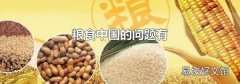 粮食中国的问题有