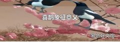 喜鹊象征意义