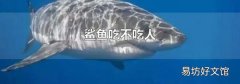 鲨鱼吃不吃人