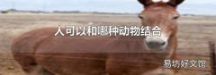 人可以和哪种动物结合