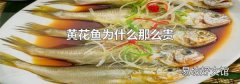 黄花鱼为什么那么贵